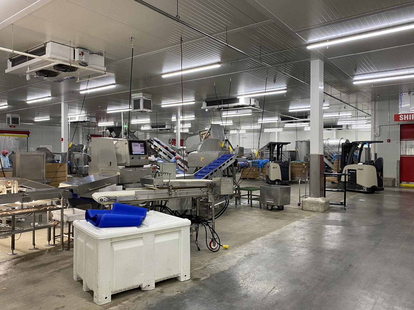 Production floor in operation with conveyor lines, packing stations, and product crates in a renovated area of the plant